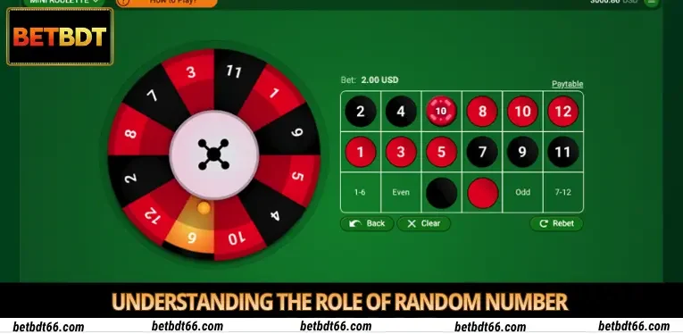 understanding-the-role-of-random-number
